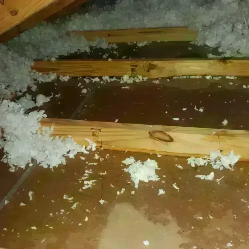 Attic Water Damage in Faulkton, SD