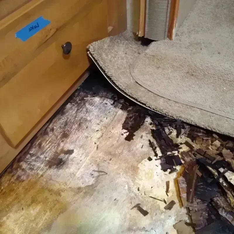 Best Wood Floor Water Damage Service in Faulkton, SD